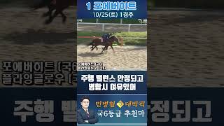 [서울 경마] 민병철 대박픽 2025년 10월 25일 토요 1R 추천마1 #경마 #하이라이트 #한국마사회 #고배당 #검빛 #코리아