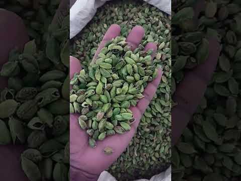 Green cardamom seed, plastic bag, packaging size: 1 kg