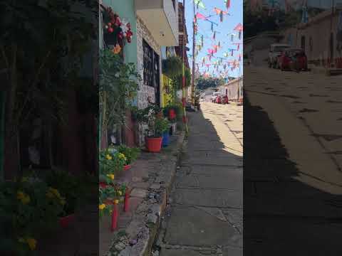 Palmas del Socorro y sus calles adornadas.  #turismo #culturaeturismo