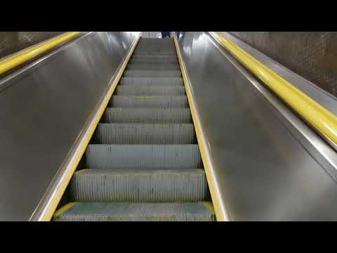 Escalator in Hong Kong is maybe fastest in the world. #shorts