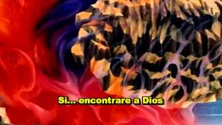 Andrew W.K.- I will find god (subtitulos español)