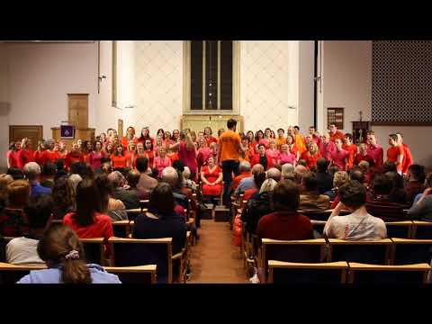 Red Light Spells Danger - Riff Raff Choir - March 2018