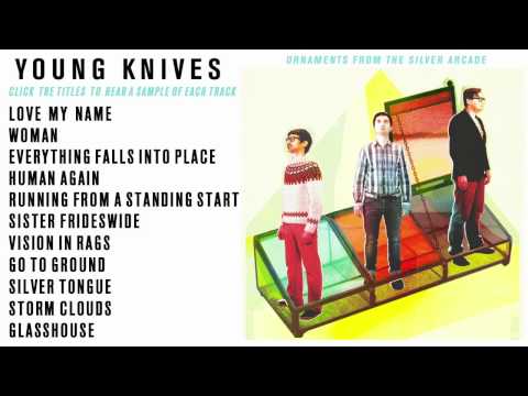 Young Knives - Ornaments From The Silver Arcade