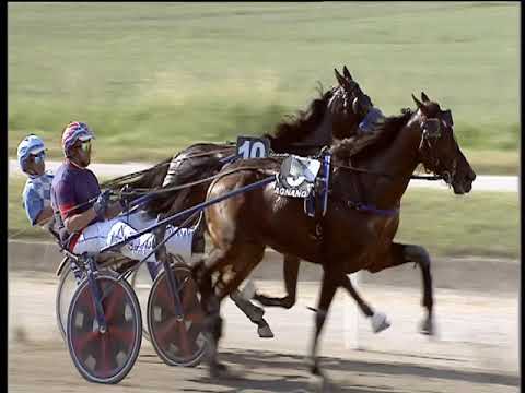 Trotto 20/06/2019 - 3ª corsa