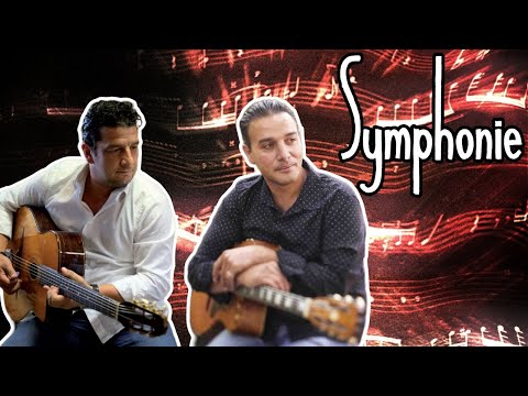 Symphonie - Yorgui Loeffler & Steeve Laffont (Gypsy jazz transcription)