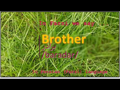The meaning of Brother in Persian or Farsi برادر baradar