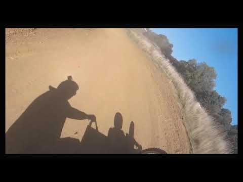 Amca Clubmans sidecar championship Round: Long Buckby 2018