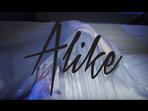 Alike - Alike - Indecisive