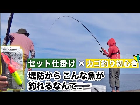 カゴ釣り 釣り方解説