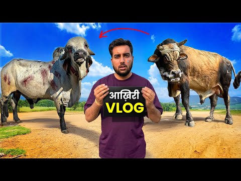 MY LAST VLOG💔Jersey Se Arjun Tak