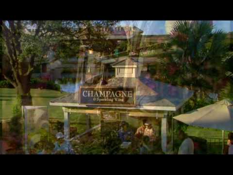 Disney Vacation Planning 2009: Walt Disney World Planning Tips