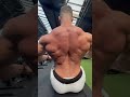 BACK DAY - ARNOLD STYLE