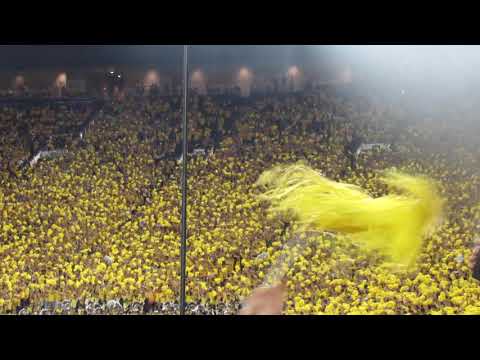 Mr. brightside at Michigan Stadium 9/11/21
