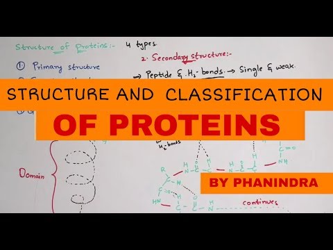 N2 bases NITROGENOUS BASES PURINS AND PYRIMINDINS BIOTECHNOLOGY BY PHANINDRA GUPTHA