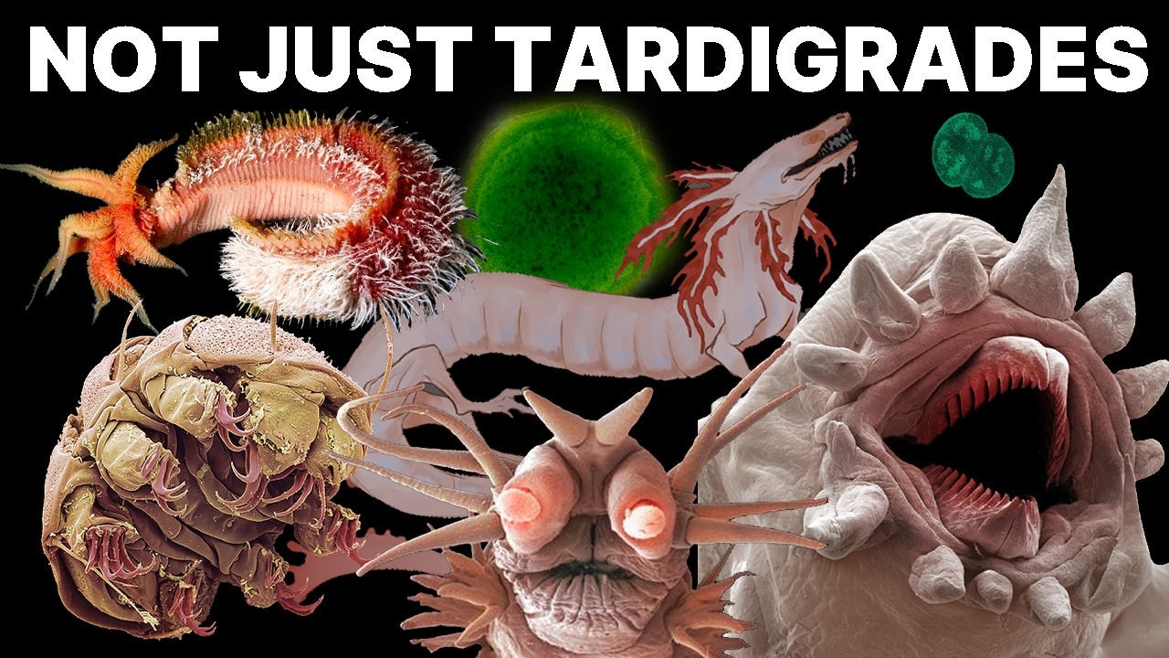 Every Extremophile Explained