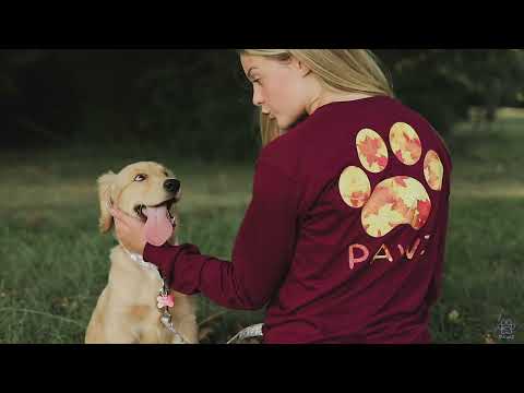 Pawz saves dogs!