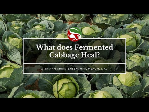 , title : 'What does Fermented Cabbage Heal?'