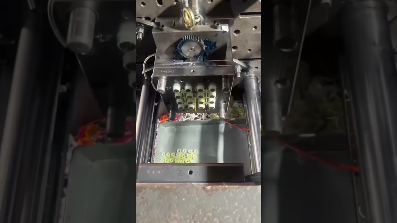 Multi cavities plastic injection molding, teeth inserts turned by gears