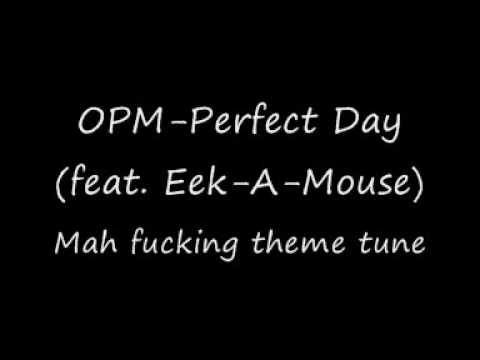Perfect Day