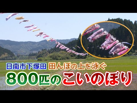 動画サムネイル