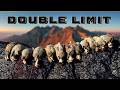 Razor S Edge A Nevada Chukar Hunt