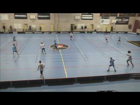 Warberg IBF - Landvetter Wings