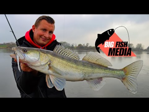 Angeln auf Zander und Barsch im Herbst und Winter - Fische finden im Fluss