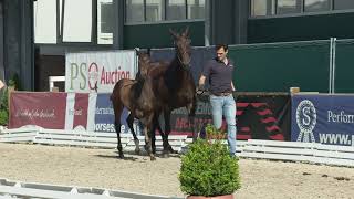Video of Fourqueux