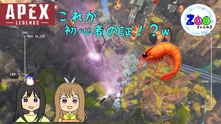 【Zoo】PC APEX初心者 アリーナ戦の勝ち方がわからない！？