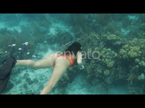 Sexy girl in bikini snorkeling underwater ocean barrier reef