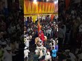 Ashadi Ekadashi Status ️ 2023 Ekadashi Pandhrpurwari
