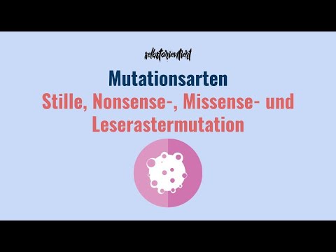 Mutationsarten: Stille Mutation, Nonsense-Mutation, Missense Mutation und Leserastermutation erklärt