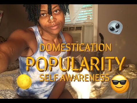 domestication, popularity and self awareness