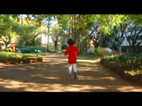 Cidadão Quem - O Amanhã Colorido