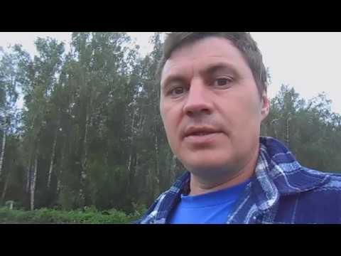 Бассейн для птицы ч 1