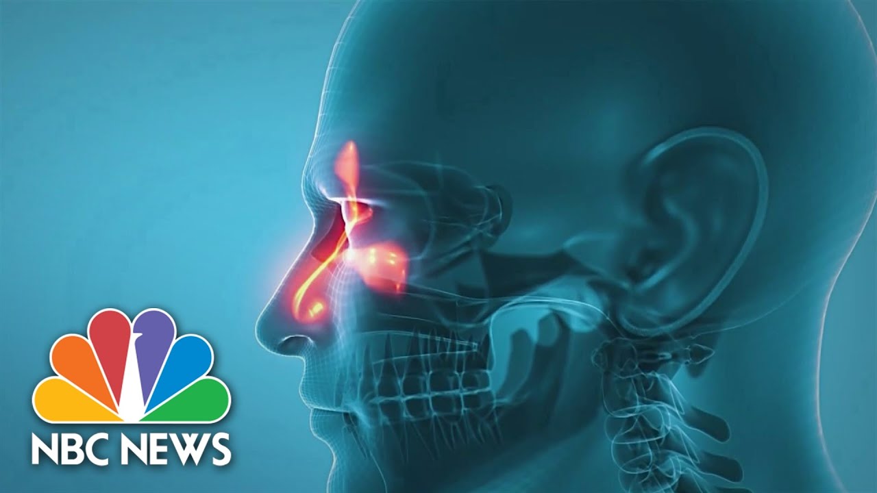 Virginia researchers work on solution for loss of smell from Covid infection