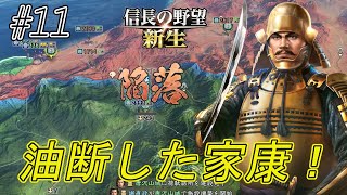 【信長の野望新生】信玄が居なくなり油断した家康獲った城を獲り返されるが・・・　そして新たなる戦いが始まる？ｗ#11【上級】