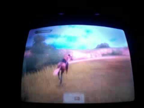 horse life 2 wii youtube