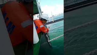 Download lagu Gampang Dapet Ikan Besar di Kapal! (2024) #fishing #fish #mancingmania #mancing #mancingikan mp3 Download lagu Gampang Dapet Ikan Besar di Kapal! (2024) #fishing #fish #mancingmania #mancing #mancingikan mp3