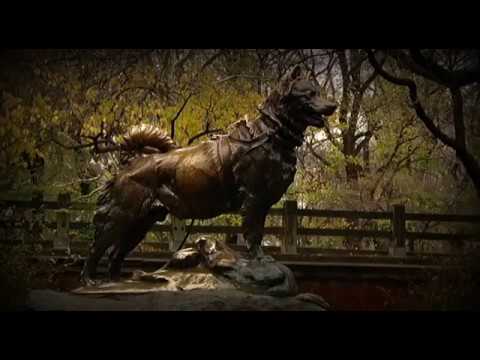 Balto Documentary (2011)
