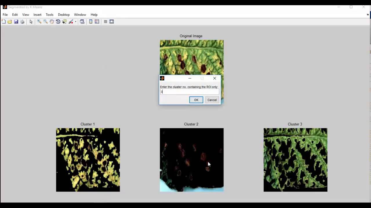 Ieee projects on digital image processing using matlab