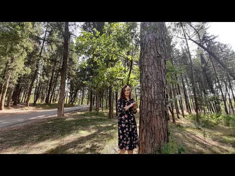 Vitrina e librit/ Castigat- Ardian Vehbiu; Vjen në një përmbledhje - 19 Qeshor 2022