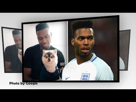 Top News - Ribashkohet me qenin e humbur/ Por Sturridge nuk paguan shpërblimin e premtuar