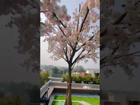 Advanced Nakhrastra garden Expert