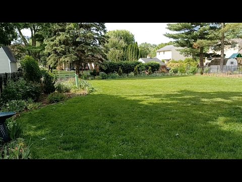 Late Spring Garden Tour 2023