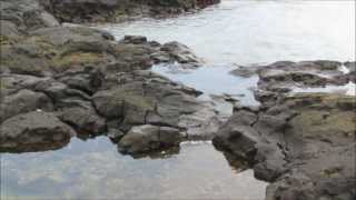 preview picture of video 'Tidepools and Sea Life at Puuhonua o Honaunau National Historical Park, Hawaii'