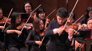차이코프스키 바이올린 협주곡 D장조, 작품35 Tchaikovsky Violin Concerto in D Major, Op.35