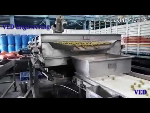 Fruit And Vegetable Washer