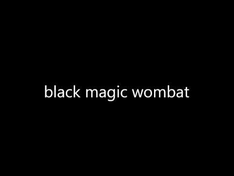 blue  magic wombat