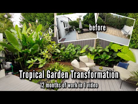Epic Garden Makeover (includes 12 months of growth & updates)